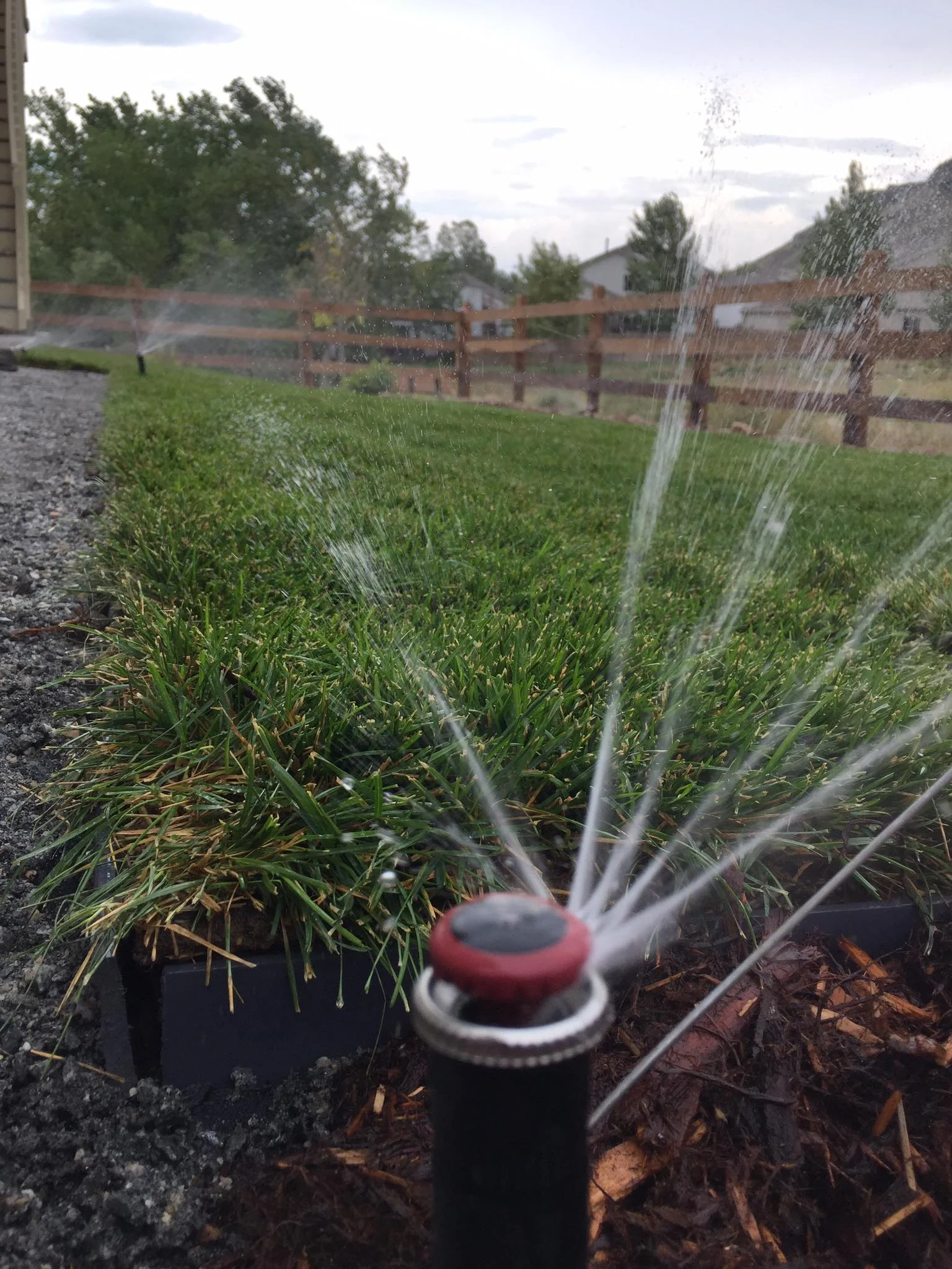 Recent residential landscaping project in Denver metro by Flores Sprinkler & Landscape